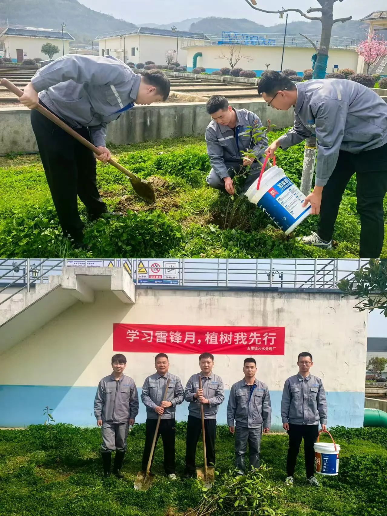 水情形公司权属各企业开展植树节活动 水情形公司权属各企业开展植树节活动